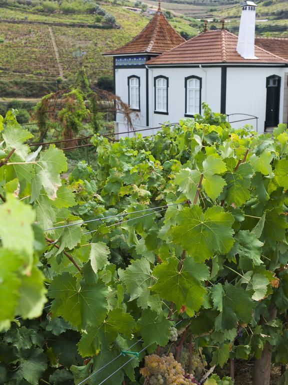 Casa De Cambres Pensionat Lamego Eksteriør billede