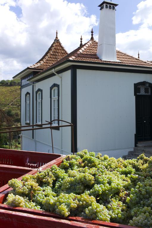 Casa De Cambres Pensionat Lamego Eksteriør billede